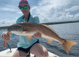 Bayport. FL June Fishing Report 